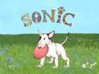 Kinderbuch Sonic -der kleine Bulli