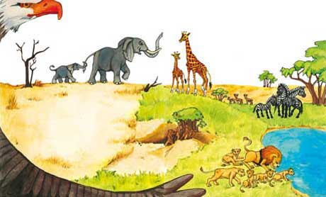 Kinderbuch Illustrationen Löwe & Schmetterling01
